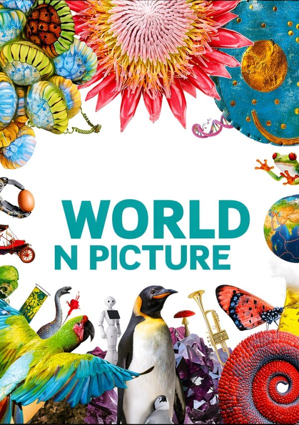 DK Children Encyclopedia Kids Educational Books Our World in-0