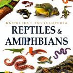 Wonder House Animals Encyclopedia Kindle Book Kids Teens-0