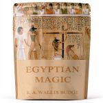 Ancient Egyptian History Kindle eBook by Createspace 126 Page Guide-0