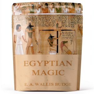 Ancient Egyptian History Kindle eBook by Createspace 126 Page Guide-0